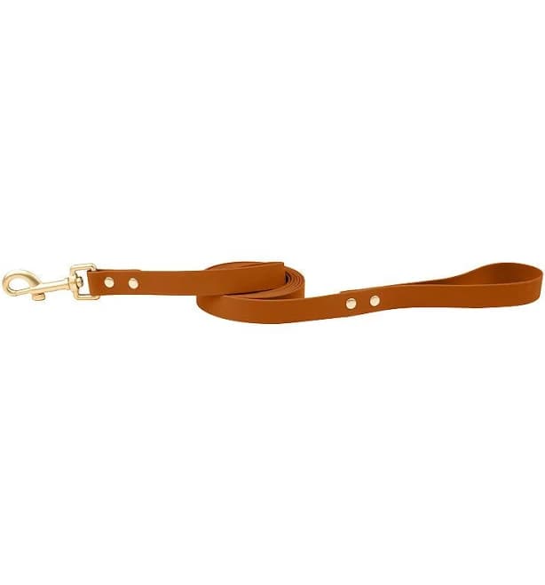 SportPet Solid Color Basic Dog Leash