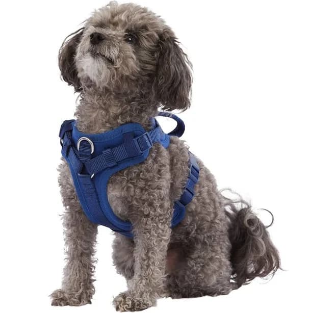 Top Paw Neoprene Comfort Dog Harness