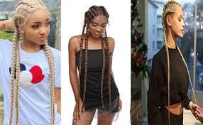 Amazon.com : xiweiya 6# Brown Braided Wig 4xTwist Double Dutch Brown Braiding Wigs with Baby Hairs Chocolate Brown Afro Braids Long Box Braid Hair 100% Hand-Braided Wigs Double Dutch Braids 36inch for