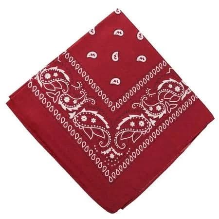 Blukids Multi-Purpose Cotton Paisley Cowboy Bandana