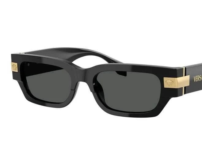 Versace Men's VE4465 Sunglasses