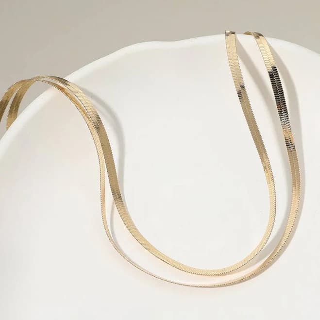 Sleek Double Layered Snake Chain Necklace