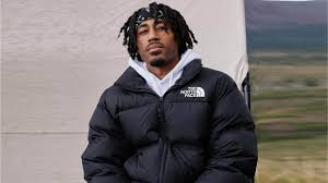 Parka Big North Face Coat The North North Face Puffer Large Face Nuptse Jacket Outfit Big