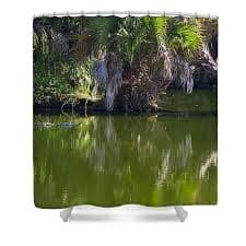 Gator in the Swamp Poster by James Fowler - James Fowler Official Website