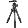 Video frame trigger
