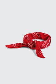 Red Paisley Bandana | Ardene