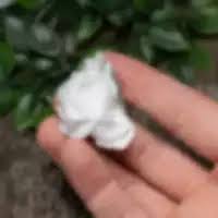 Chinese Bladed Calcite (UV Reactive) #8 - The Crystal Council