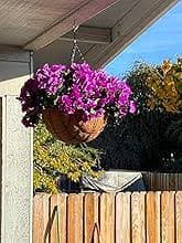 Morning Glory Hanging Basket 4 Pcs Silk Flowers - 35" Purple Flowers – HyeFlora