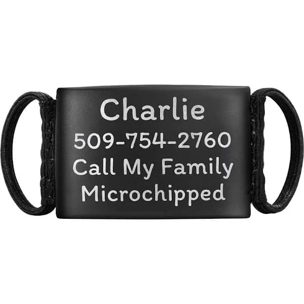 GoTags Personalized Cat & Dog ID Tag