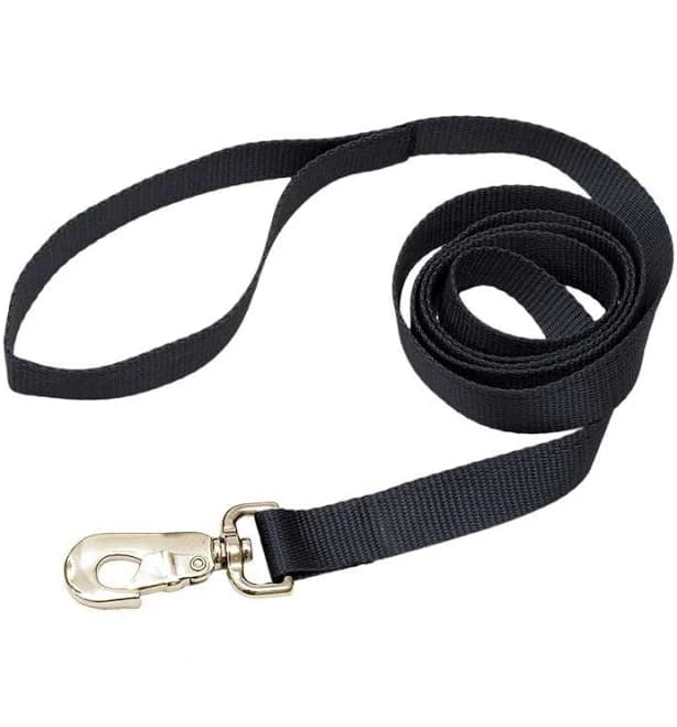 Lucky Pet Nylon Leash