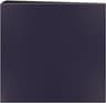 Video frame trigger