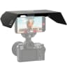 Video frame trigger
