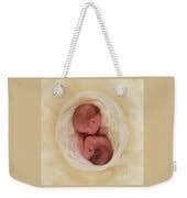 Pure Photograph by Anne Geddes - Fine Art America