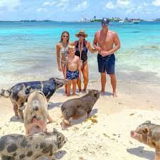 Famous Swimming Pigs Tour - Bahamas Water Toys