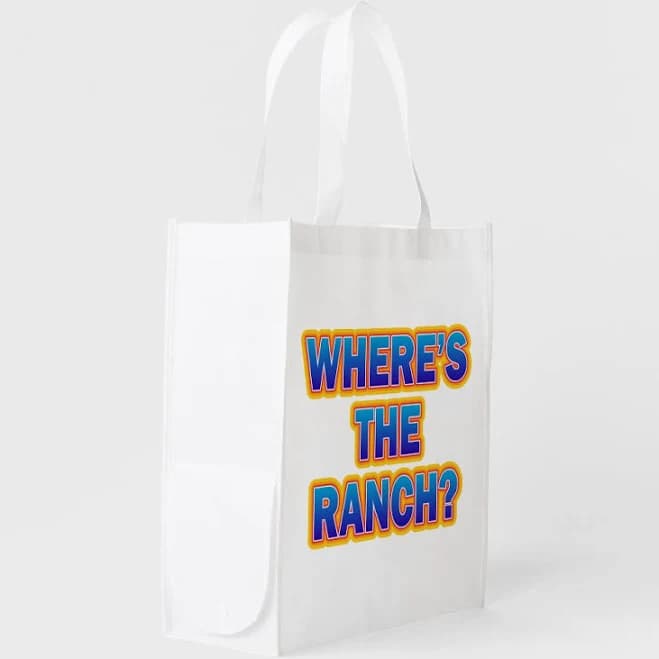 Reusable Aldi Grocery bag