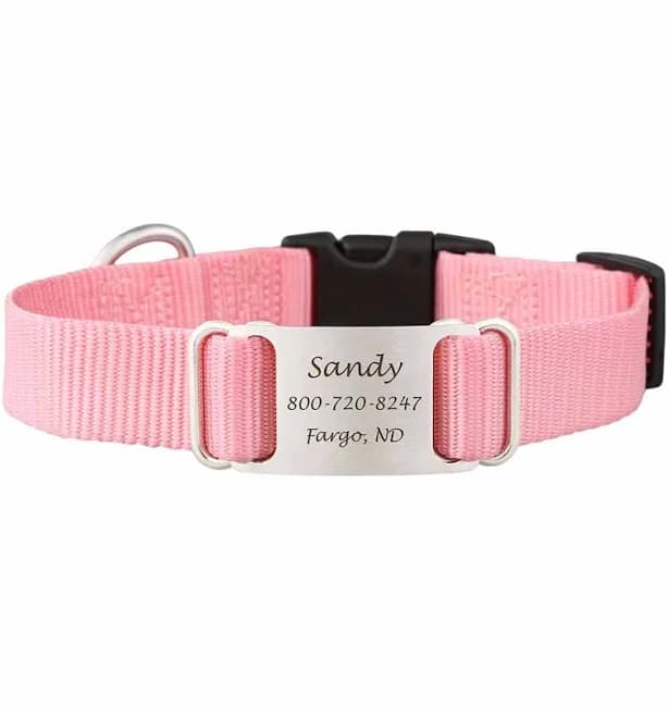 ScruffTag Personalized Dog Collar