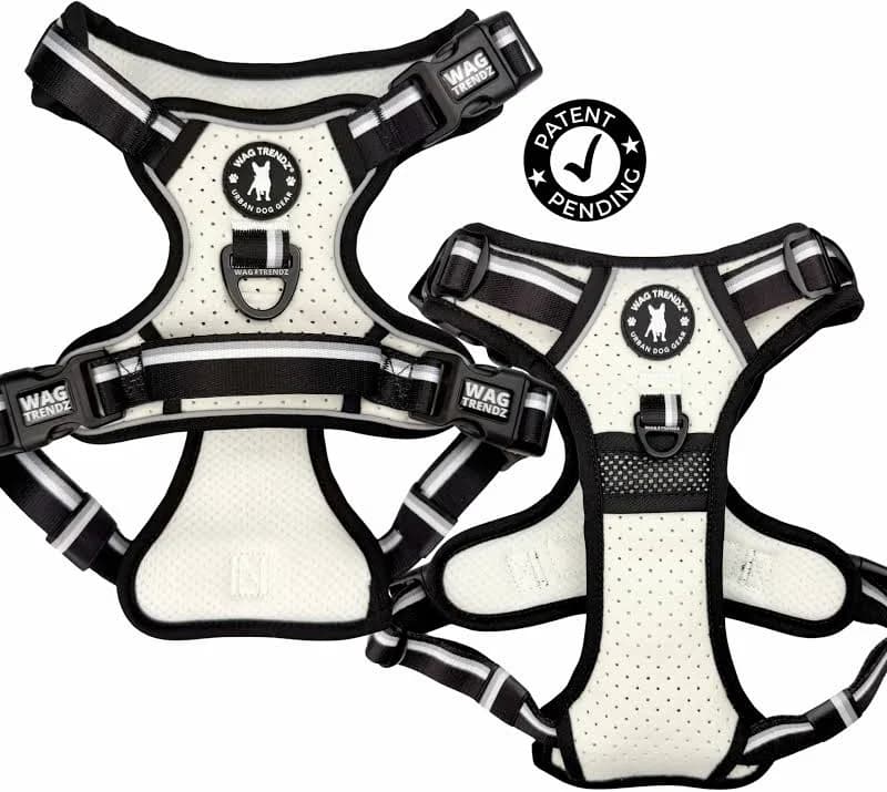 NeoCool Sport Dog Harness