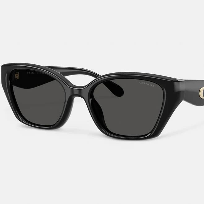 Coach Women's C Hardware Square Cat Eye Sunglasses