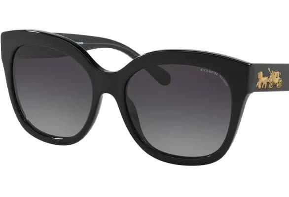 Coach HC8264 L1083 Sunglasses Women