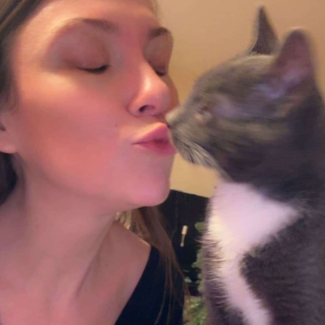 𝒶𝓂𝒶𝓃𝒹𝒶 & 𝓉𝒽𝑒 𝒷𝑒𝒶𝓃𝓈 🐾