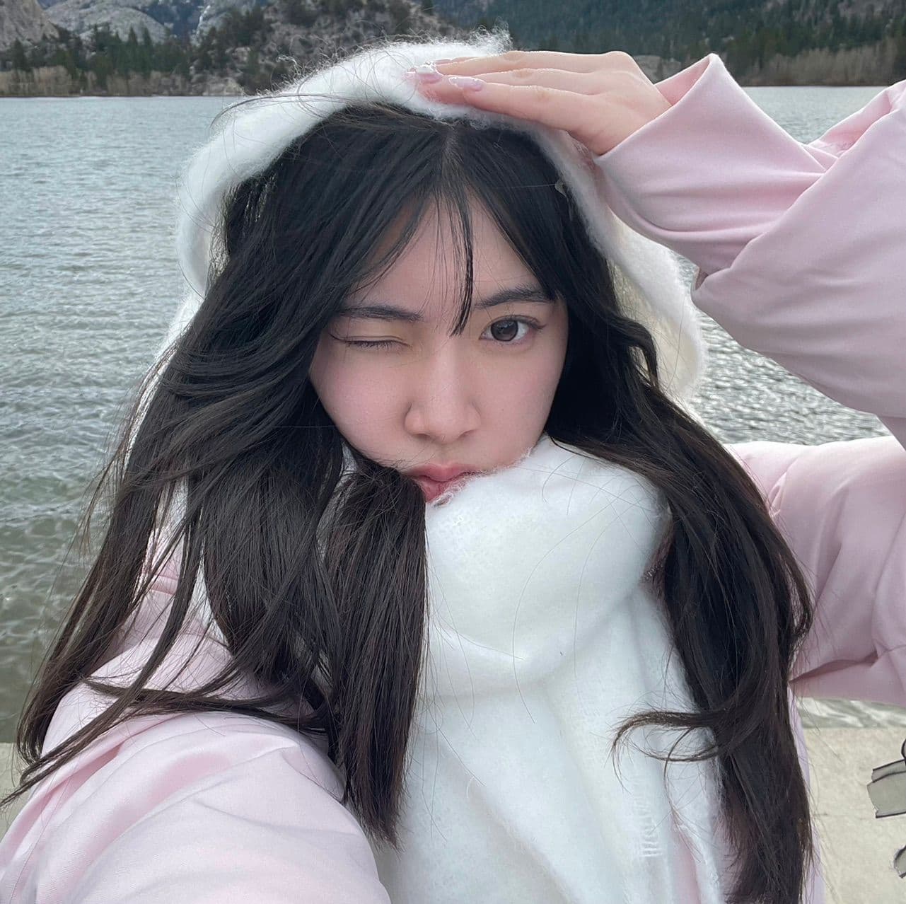 vivi