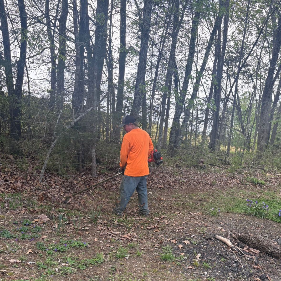 Walleys lawn care