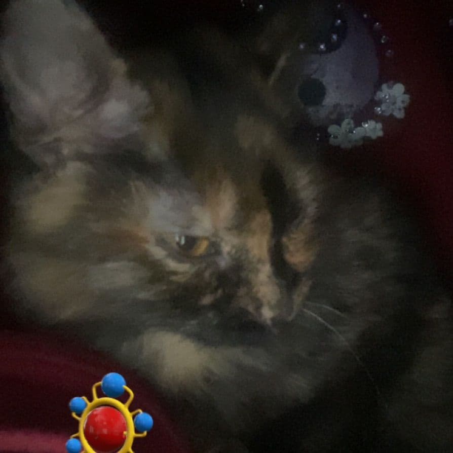 Rosie
